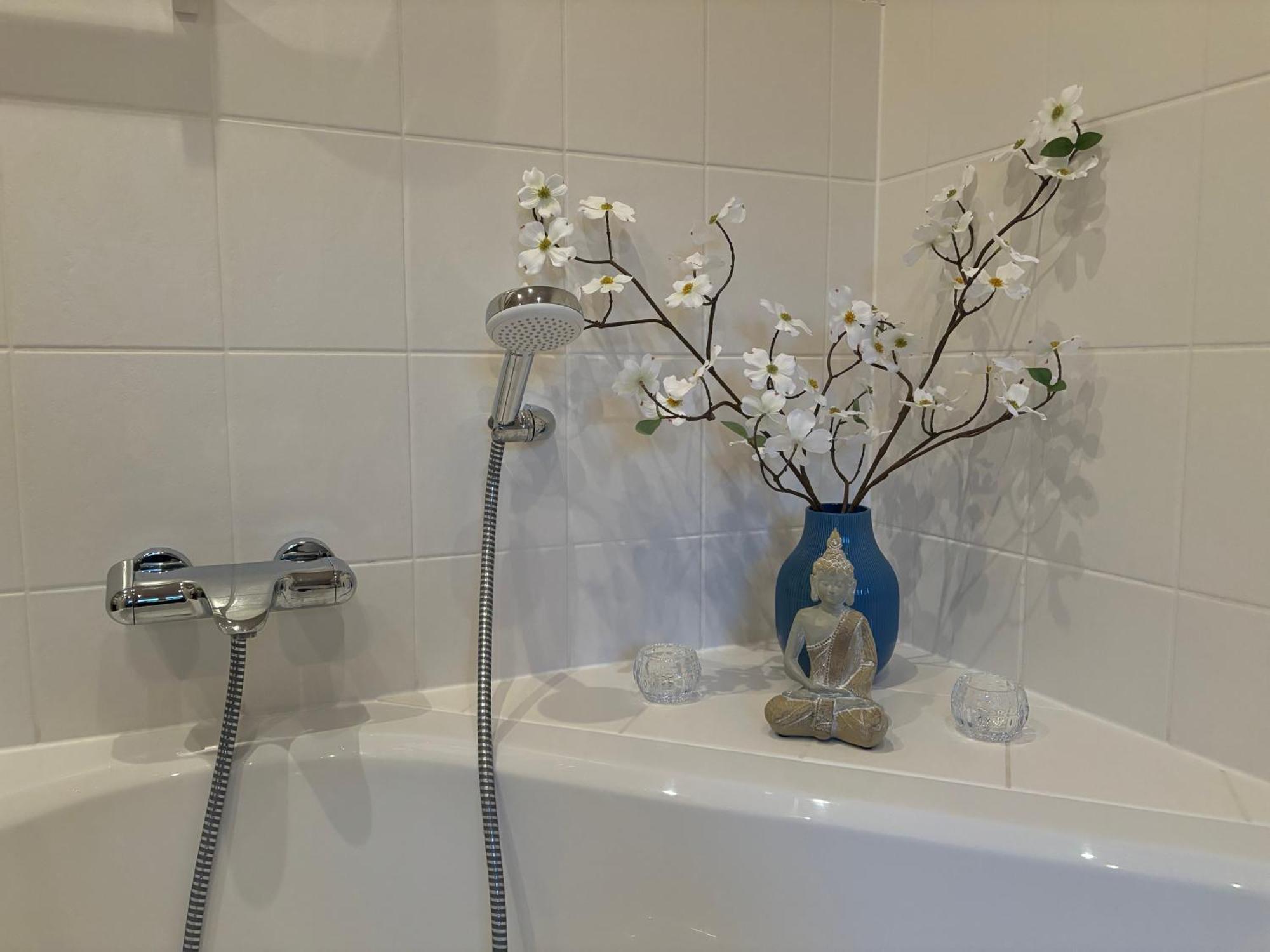 Casa Verde ドレスデン エクステリア 写真